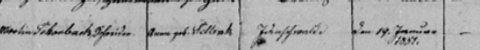 schorback anna birth