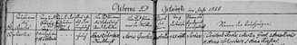 Schorback martin Birth