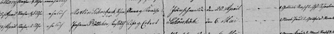 schorback louise birth